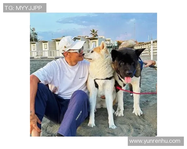 迪巴拉足球球星头像全新诠释展现独特魅力与技艺风采